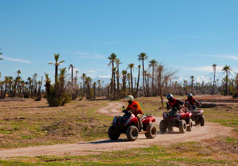 ½ day Quad at the Palmeraie in Marrakech