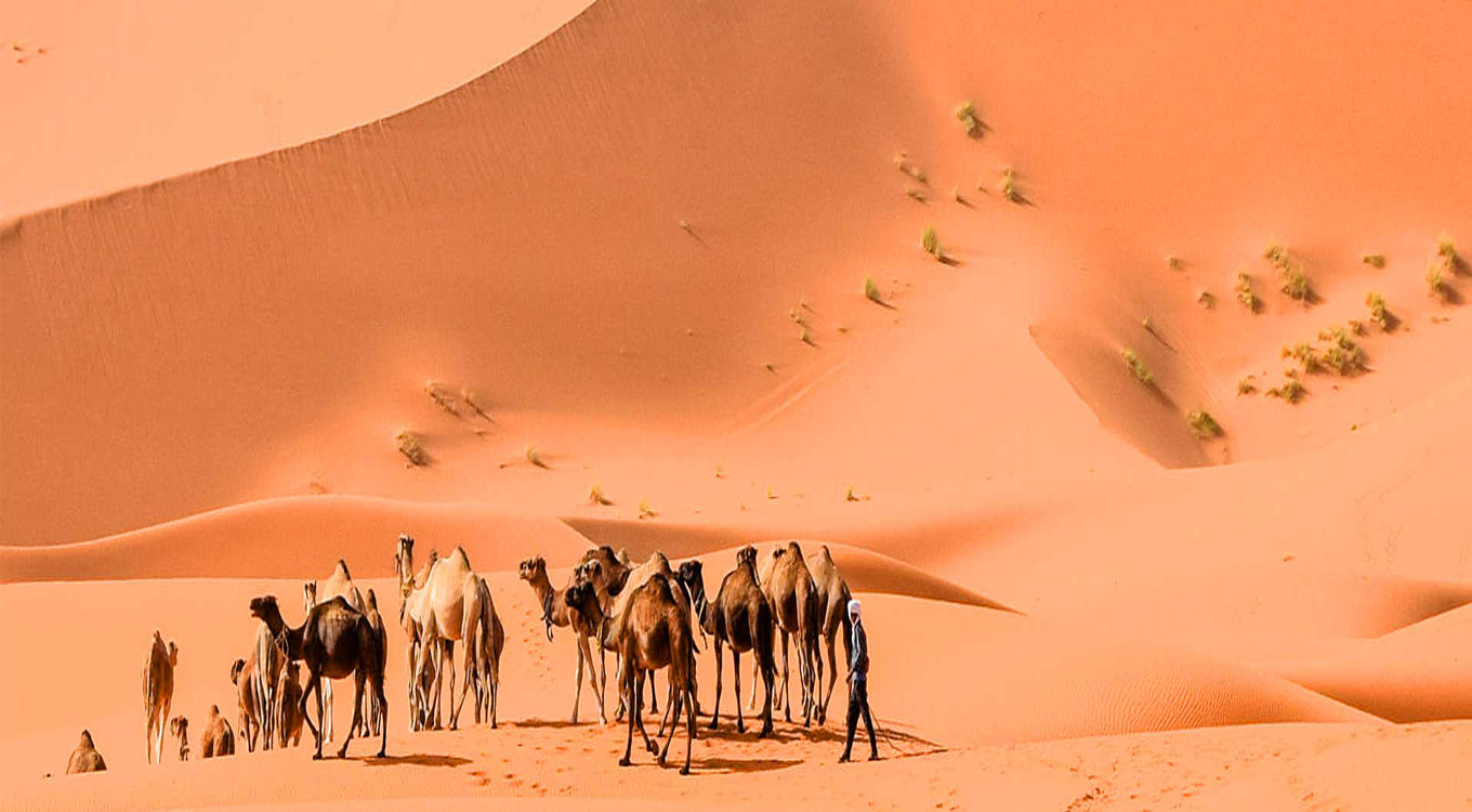 DESERT TOURS & CAMEL TREKKING IN MERZOUGA DUNES - Morocco By Marrakech