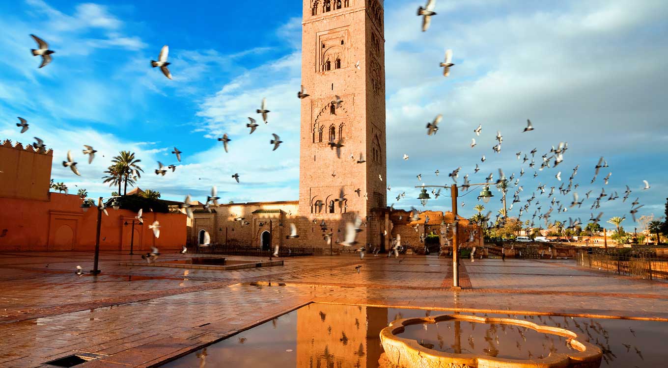 Day Trip To Marrakech From Casablanca …