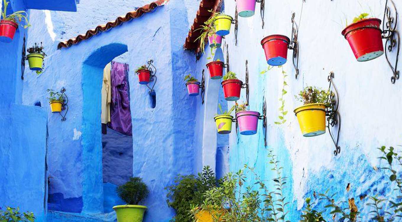 Chefchaouen Day Trips  From Fes